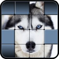 Download Hidden Pics 1.00 APK for android