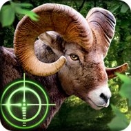 Download Wild Hunter 3D (MOD, much money) 1.0.6 APK for android