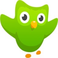 Download Duolingo: Learn Languages Free 3.14.2 APK for android