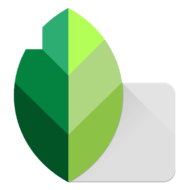 Скачать Snapseed 2.19.0.201907232 APK для Android